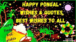 Happy Pongal 2022 wishes| Happy pongal wishes|Happy Pongal whatsapp status| Pongal Greeting| Status