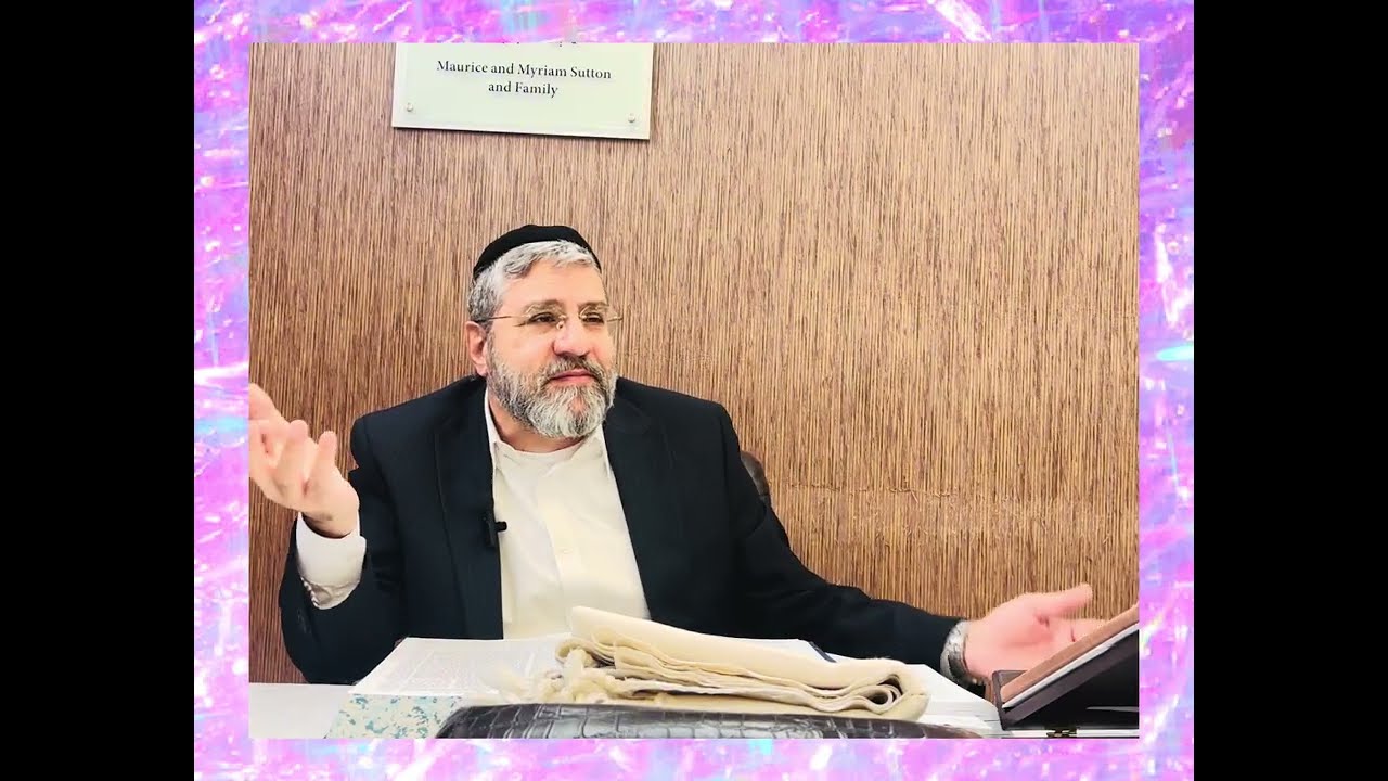 הרב אבישי לוי : החתול הצנוע 