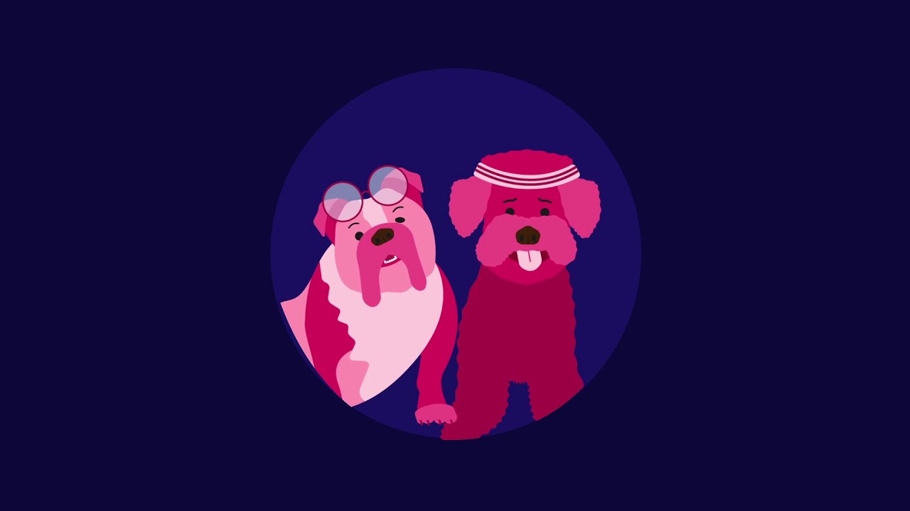 Why Everyone Should Own A Dog | Animated Infographic