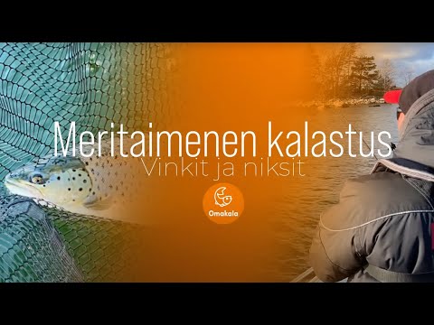 Meritaimenen kalastus | Vinkit ja neuvot