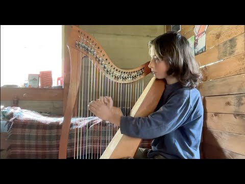 NZ 2025 Harp Performance Competition, Elementary, Reuben Land WINNER!!!!