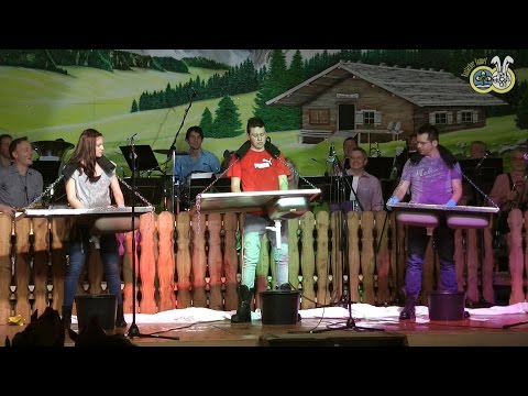 Almball Haslach 2016 - Spülbeckenbätscher