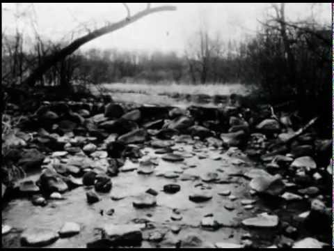 My Brightest Diamond - Dragonfly (HD)