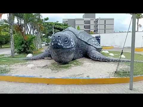Praça da tartaruga🐢                         Avenida beira mar ,Pontal do Paraná Pr🇧🇷         
