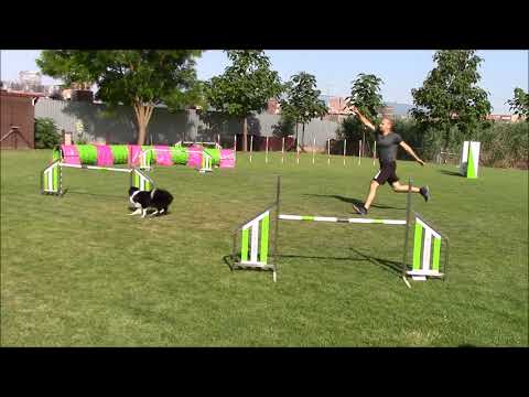 BEE Iwona szeminárium