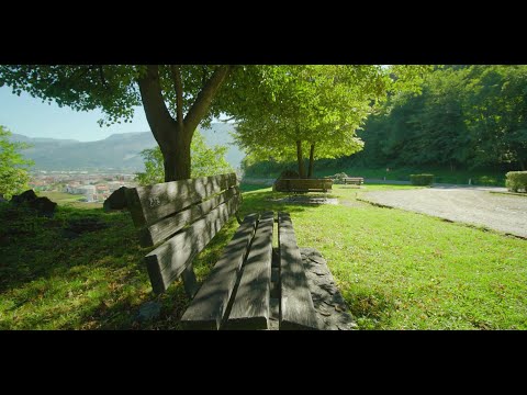 Kolęda dla nieobecnych - Ania i Tomek Trust