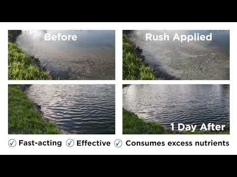 Healthy Ponds RUSH