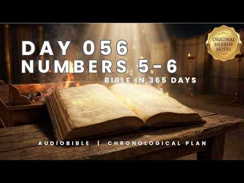 DAY 56 | NUMBERS 5–6 (Chronological Bible Plan) — Purity, Nazirite Vow + The Priestly Blessing
