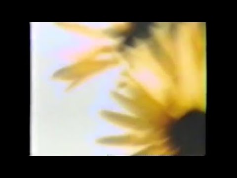 [free] skele, fats'e, midwest emo type beat - brainwashed (prod. irby x Jolst)