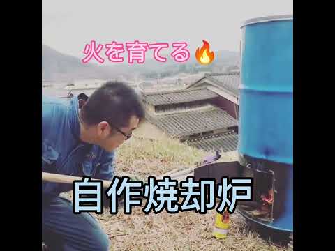 庭で段ボールをどうやって使う？過小評価されない 4 つの賢い使い方  庭園