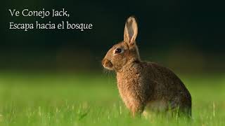 Jack Rabbit - Elton John// Letra Español