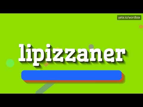 , title : 'HOW TO SAY LIPIZZANER? #lipizzaner'