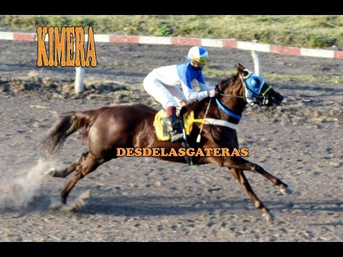KIMERA - Clásico, J. C. Dr. Fernando Irastorza, Curuzú Cuatiá, Ctes. 21.07.19