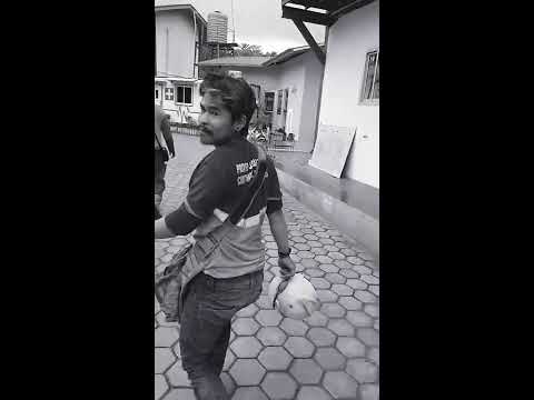 Viral_Goyang DJ OPUS versi BangKumisBaplang 😁