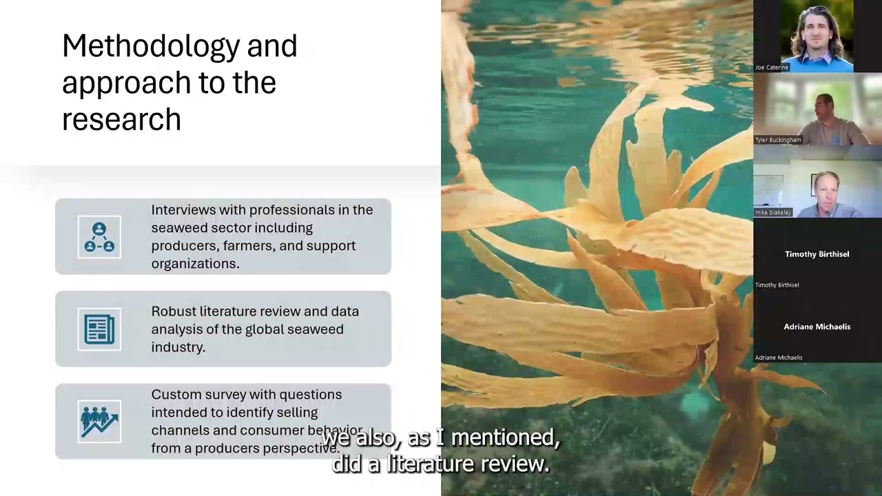 Marketing Seaweed - Connect & Learn