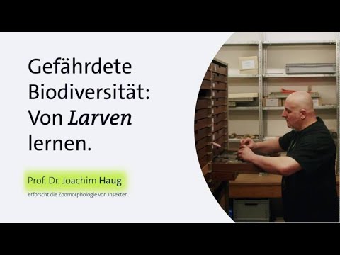 Gefährdete Biodiversität: Joachim Haug im Portrait