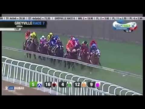 2016.07.31 Gold Cup (RSA) - Enaad