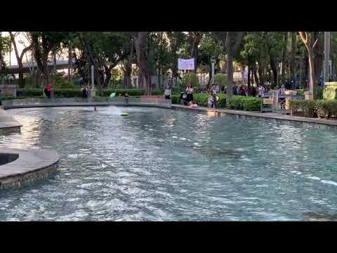 RC Boat in Victoria Park 2019/02/16