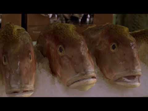 Sopranos - Tony's "4 dollars a pound" dream (Funhouse)