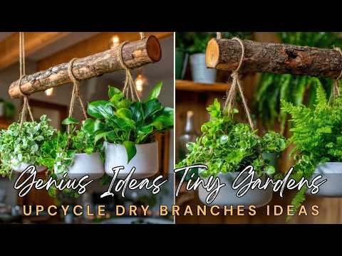 8 Genius Ideas for Tiny Gardens & Great Home Ideas with Upcycle Dry Branches