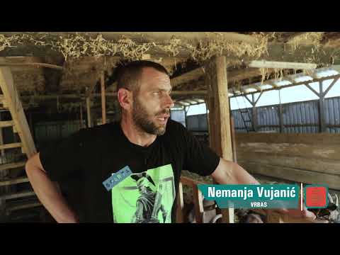 Vrbas Nemanja Vujanić