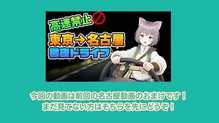 【おまけ車載動画】名古屋→埼玉、夜の下道ドライブでひたすら喋る回【野生動物遭遇】
