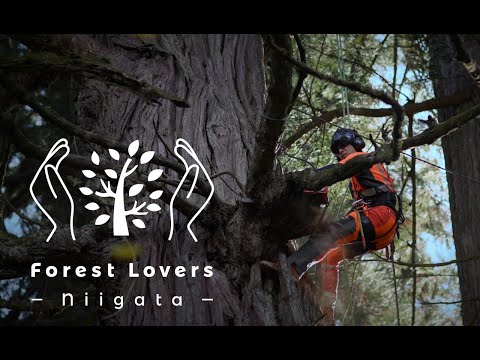 Forest Lovers NIIGATA 【Work in the forest編】