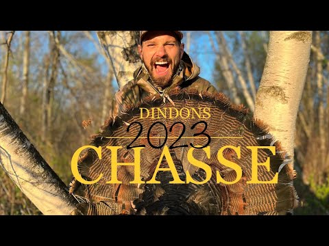 Chasse aux dindons 2023 - QC