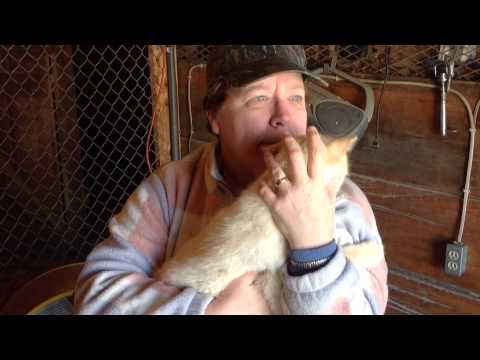 LuAnne hugging a friends cat