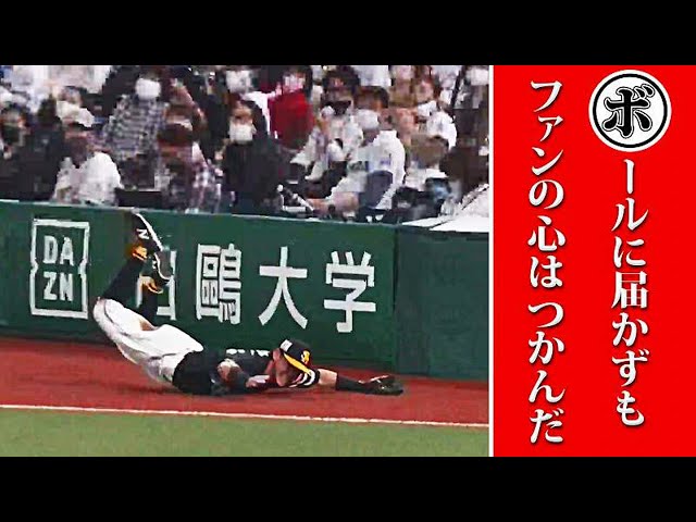 ボールには届かなかったが…本日のまとめるほどではないまとめ