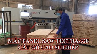 Máy Panel saw Tectra-328 trong xưởng sản xuất ván ghép xuất khẩu