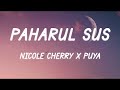 Nicole Cherry X Puya Paharul Sus Versuri