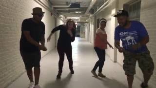 Sweet Little Bloodhound on the run