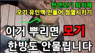 모기! 이걸 가지고 다니세요 한방도 안물립니다!  #모기퇴치제 #천연모기퇴치제만들기 #무무스가드플러스액 #지…