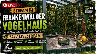 Wildlife Garden Live 🐦🌿 | Birds & Nature from Germany 24/7