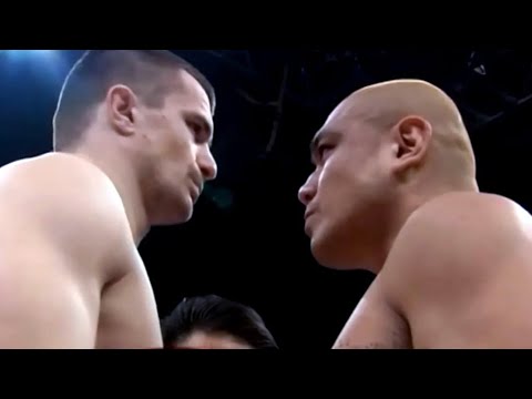 Mirko "CRO COP" Filipovic (Croatia) vs Kazuyuki Fujita (Japan) | MMA Fight, HD