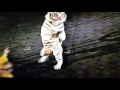 Ringling Bros 2002 2003