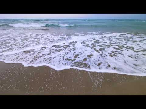 Amazing Wildlife of Botswana ,4K Nature Documentary Film (with music