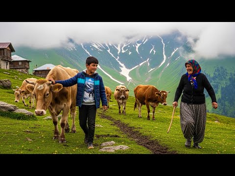 Life Far from Civilization in Türkiye’s Black Sea Highlands | Migration to the Plateaus