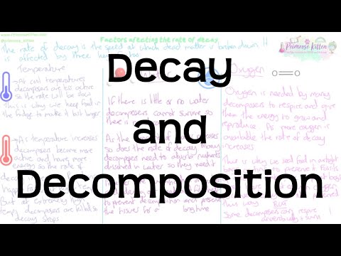 Decay and Decomposition | Revision for Biology GCSE and IGCSE
