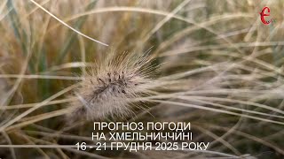Погода на тиждень: трішки сонця, але без снігу - як зміниться погода на Хмельниччині
