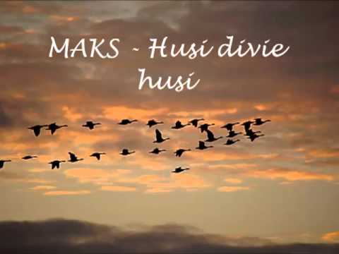 MAKS - Husi divie husi
