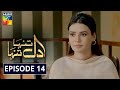 Dil Tanha Tanha Episode 14 HUM TV Drama Dil Tanha Tanha Episode 14 HUM TV Drama