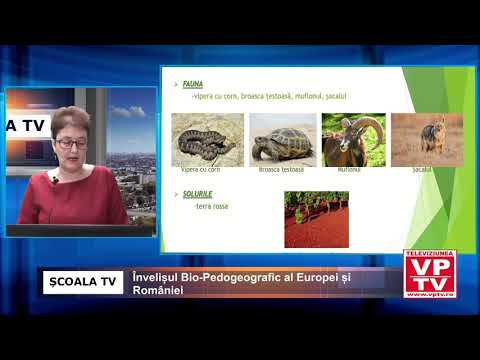 Învelișul Bio-Pedogeografic al Europei și României