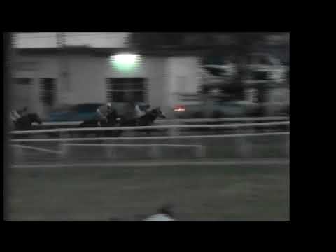 BTC: 2018 Sandy Lane Gold Cup - Race 11