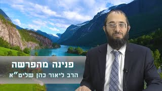 הרב ליאור כהן - פרשת כי תשא