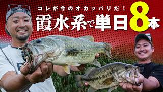 【霞水系/バス釣り】真夏の水路をランガン！秋まで続くコレが旬なバスの釣り方 / 馬場拓也 中根翼