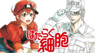 はたらく細胞✖️インフェルノ　MAD