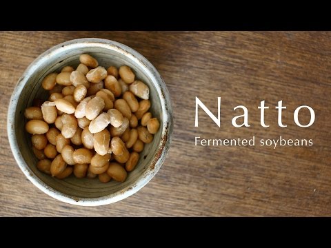 download lagu mp3 mp4 Natto Bacteria, download lagu Natto Bacteria gratis, unduh video klip Natto Bacteria