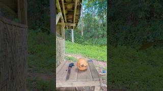 Download lagu Youngest Gets Fed... Oldest Gets LAUNCHED #funny mp3